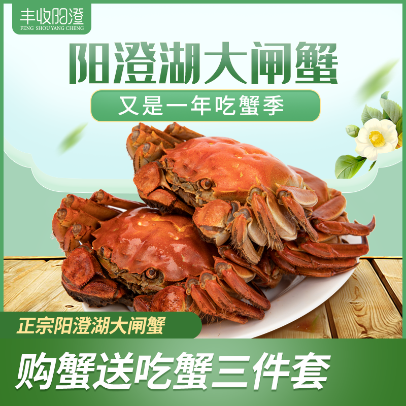 【聚福堂】【发货日期：9月22日-1月16日】丰收阳澄大闸蟹399型FSYC399